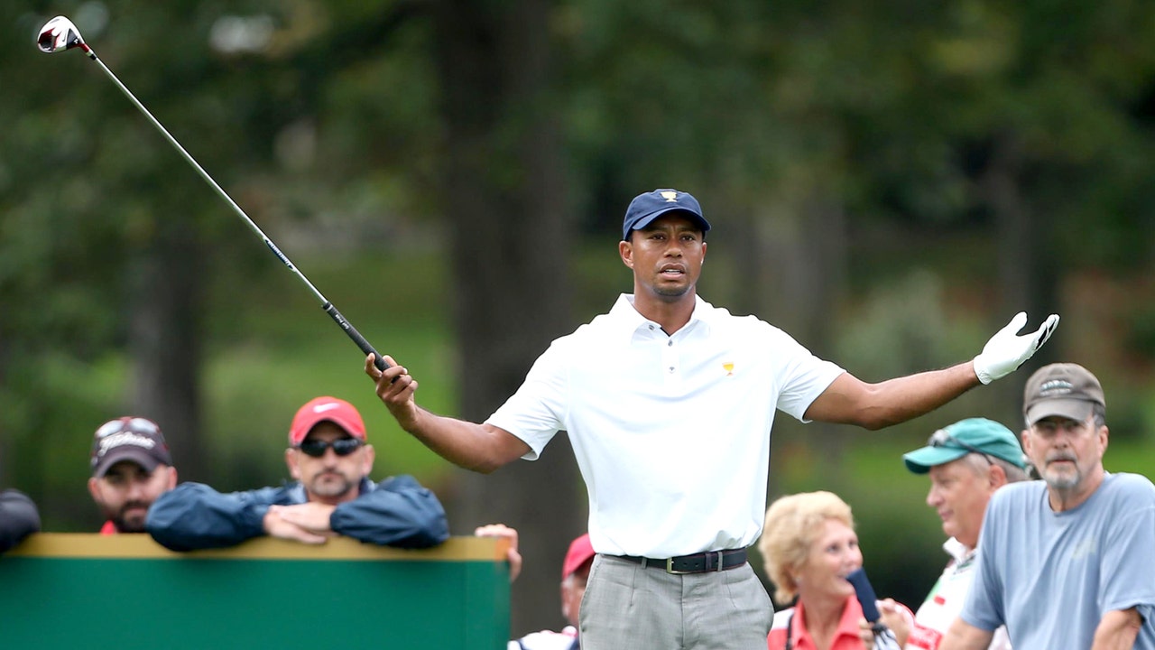 Coming in 2014: A more conservative Tiger?